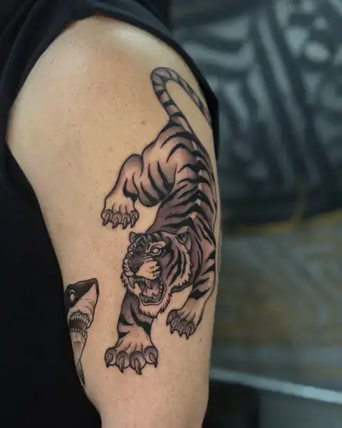 Tatuagem old school de tigre em traço grosso no braço